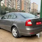 Skoda Octavia 2013 из Китая