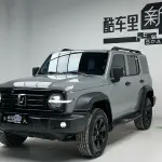 Tank Tank 300 2025 из Китая