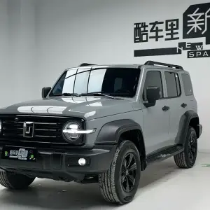 Tank Tank 300 2025 из Китая