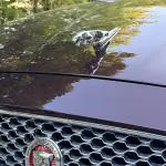 Jaguar XJ 2017 из Китая