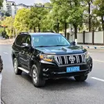 Toyota Prado (Import) 2013 из Китая