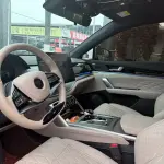 BYD Tang New Energy 2024 из Китая