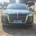 Hongqi Hongqi H5 2023 из Китая