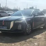 Hongqi Hongqi H5 2023 из Китая