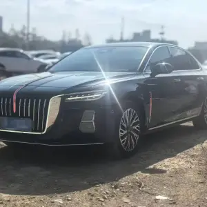 Hongqi Hongqi H5 2023 из Китая