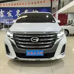 GAC Motor Trumpchi M8 2020 из Китая