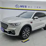 Hongqi Hongqi HS5 2021 из Китая