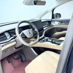 Denza Denza D9 2024 из Китая