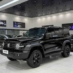 Tank Tank 300 2023 из Китая