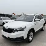 Skoda Kamiq 2019 из Китая
