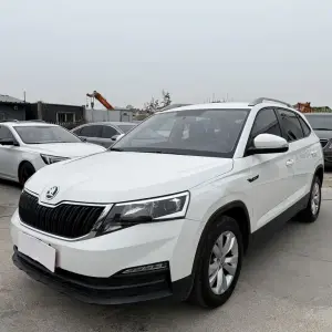 Skoda Kamiq 2019 из Китая