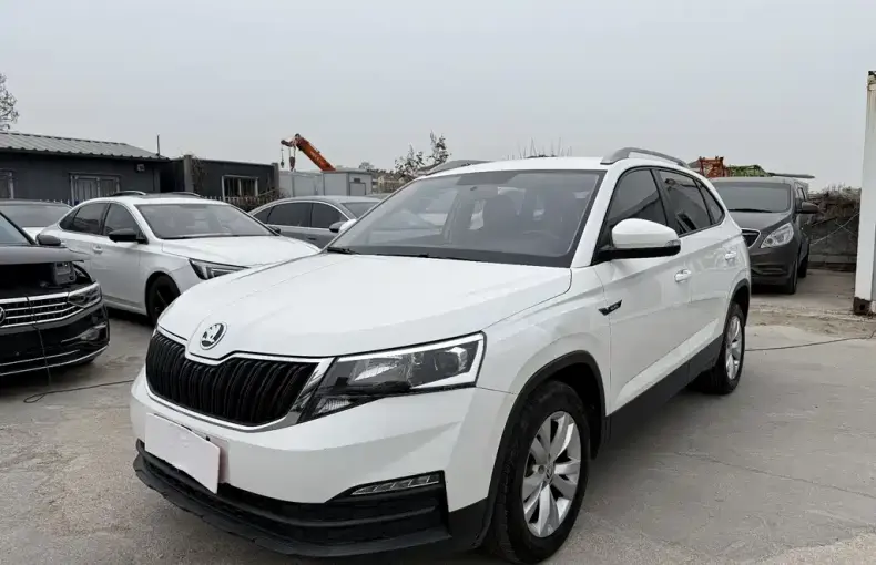 Skoda Kamiq 2019 из Китая