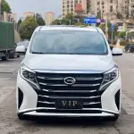 GAC Motor Trumpchi M8 2021 из Китая