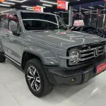 Tank Tank 300 2022 из Китая
