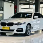 BMW 5 Series 2019 из Китая