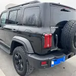 Tank Tank 300 2022 из Китая