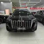 Hongqi Hongqi HS5 2023 из Китая