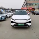 BYD Pro New Energy 2026 из Китая