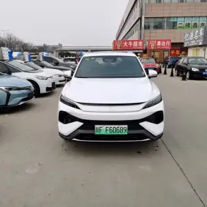 BYD Pro New Energy 2026 из Китая