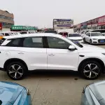 BYD Pro New Energy 2026 из Китая