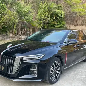 Hongqi Hongqi H5 2023 из Китая
