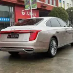 Hongqi Hongqi H9 2022 из Китая
