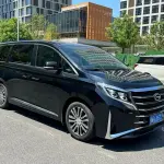 GAC Motor Trumpchi M8 2023 из Китая