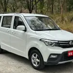 Kaicheng Ono S 2019 из Китая