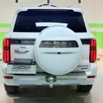 Tank Tank 500 New Energy 2024 из Китая