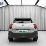 MINI MINI ACEMAN EV 2024 из Китая