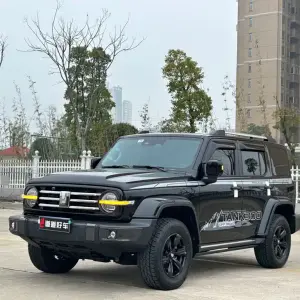 Tank Tank 300 2023 из Китая