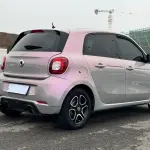 smart Smart Forfour 2017 из Китая