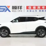 GAC Motor Trumpchi GS3 2025 из Китая