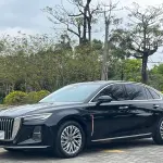 Hongqi Hongqi H5 2023 из Китая