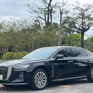 Hongqi Hongqi H5 2023 из Китая