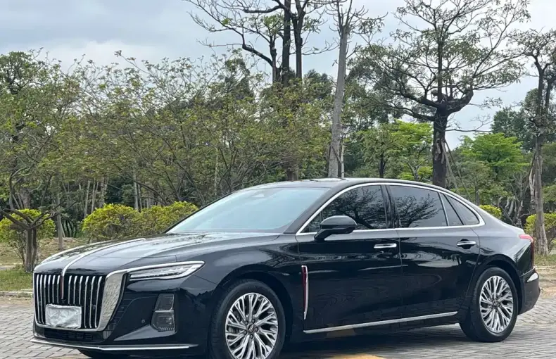 Hongqi Hongqi H5 2023 из Китая