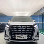 Denza Denza D9 2023 из Китая