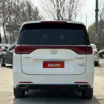 GAC Motor Trumpchi M8 2020 из Китая