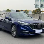 Hongqi Hongqi H5 2022 из Китая