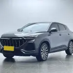 Oshan Oushang X5 2021 из Китая