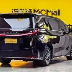 Lexus LM 2024 из Китая