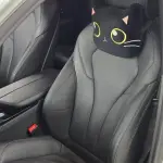 BMW 5 Series (Import) 2018 из Китая