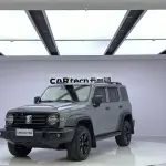 Tank Tank 300 2022 из Китая