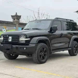 Tank Tank 300 2021 из Китая