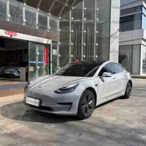 Tesla Model 3 2020 из Китая