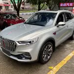 Hongqi Hongqi HS5 2020 из Китая