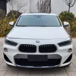 BMW X2 (Import) 2019 из Китая