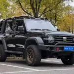 Tank Tank 300 2022 из Китая