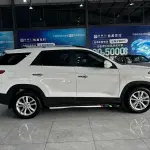 Fengguang Fengguang S560 2020 из Китая
