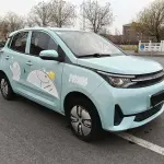 Lei Ding Leiding Mango 2021 из Китая